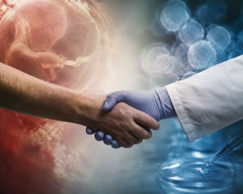 The Stem Cell Wars are Over