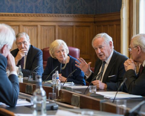 Do Peers have Human Rights?