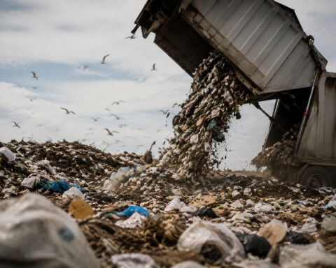 Garbage In, Garbage Out