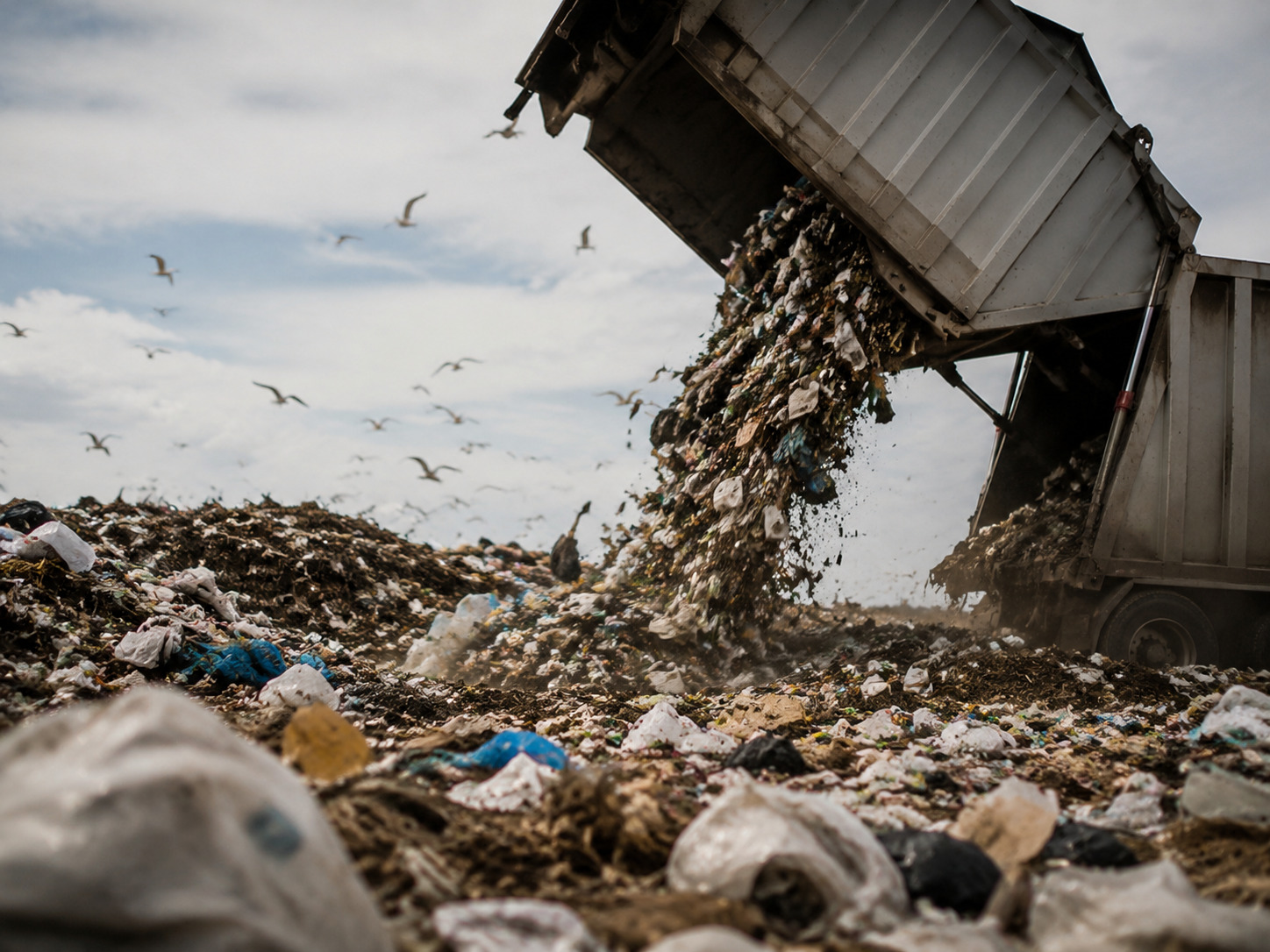 Garbage In, Garbage Out