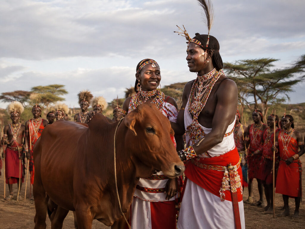 A Tale of Love, Bulls and Goats