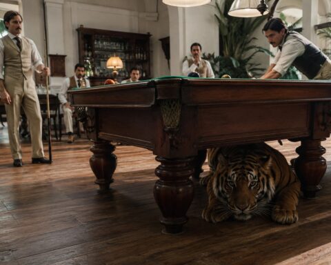 The Tiger Under the Table