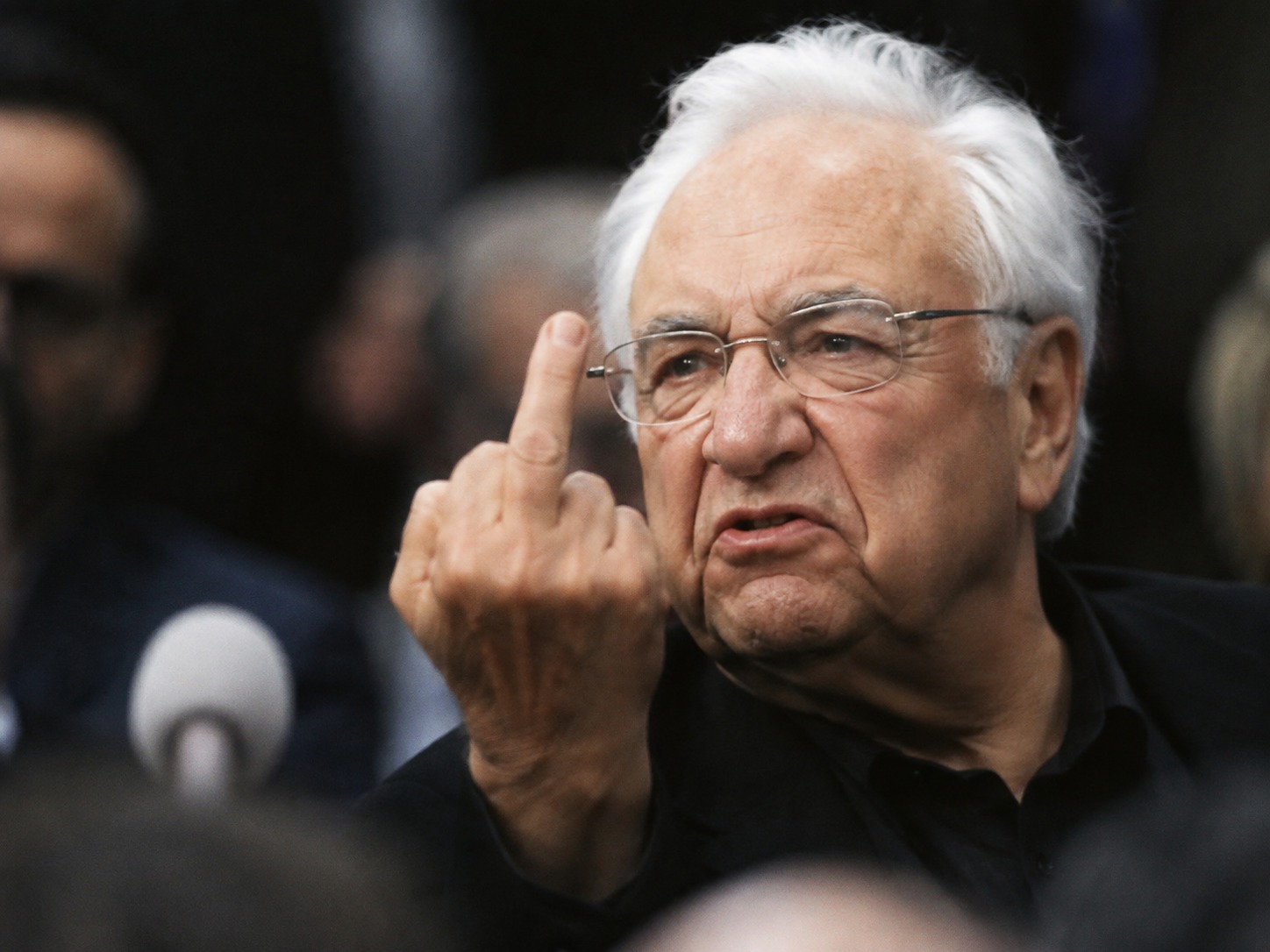 Gehry's Middle Finger