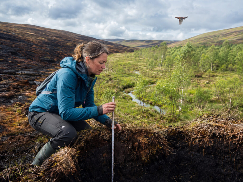 Carbon carnage: the real cost of grouse-shooting