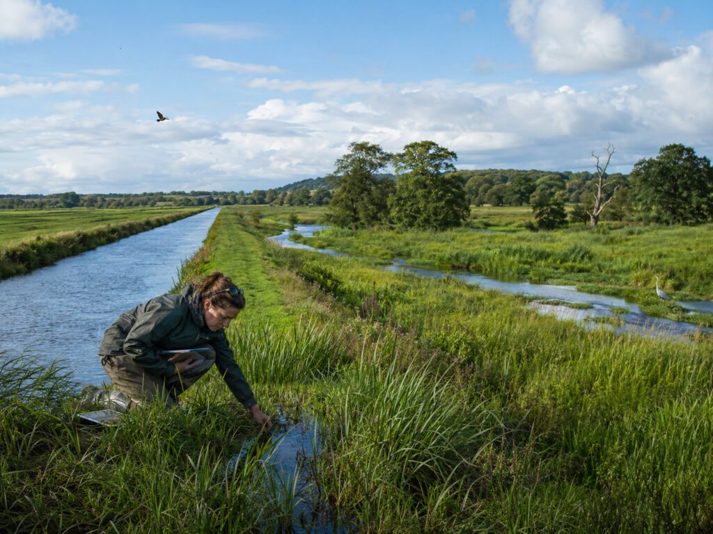 Britain is becoming a wet desert