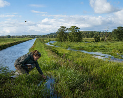 Britain is becoming a wet desert
