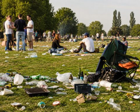 The lockdown litterbugs